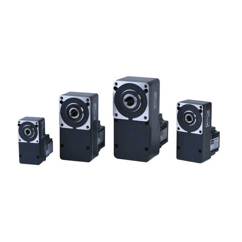 10W BLDC ĐỘNG CƠ BÁNH RĂNG 12V 24V 1800RPM 3000RPM DC KHÔNG CHỔI THAN 2GN 3GN 4GN 5GU 6GU SONG SONG GÓC CON SÂU GPG ĐỘNG CƠ BẰNG SỐ